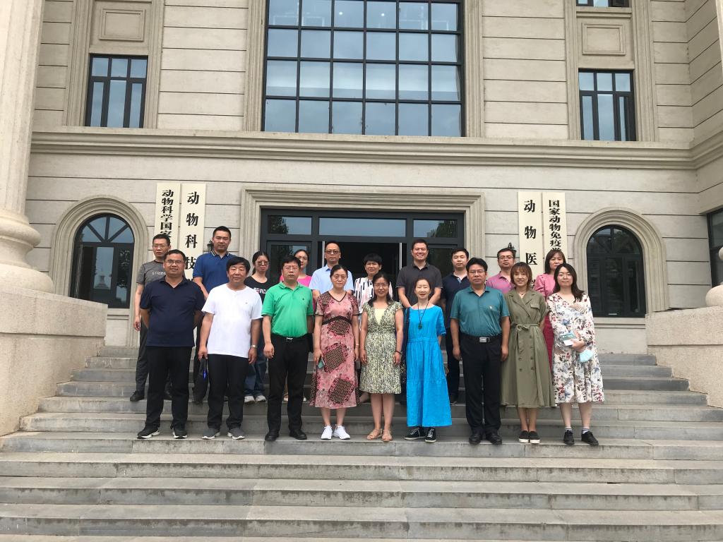 mansion88明升