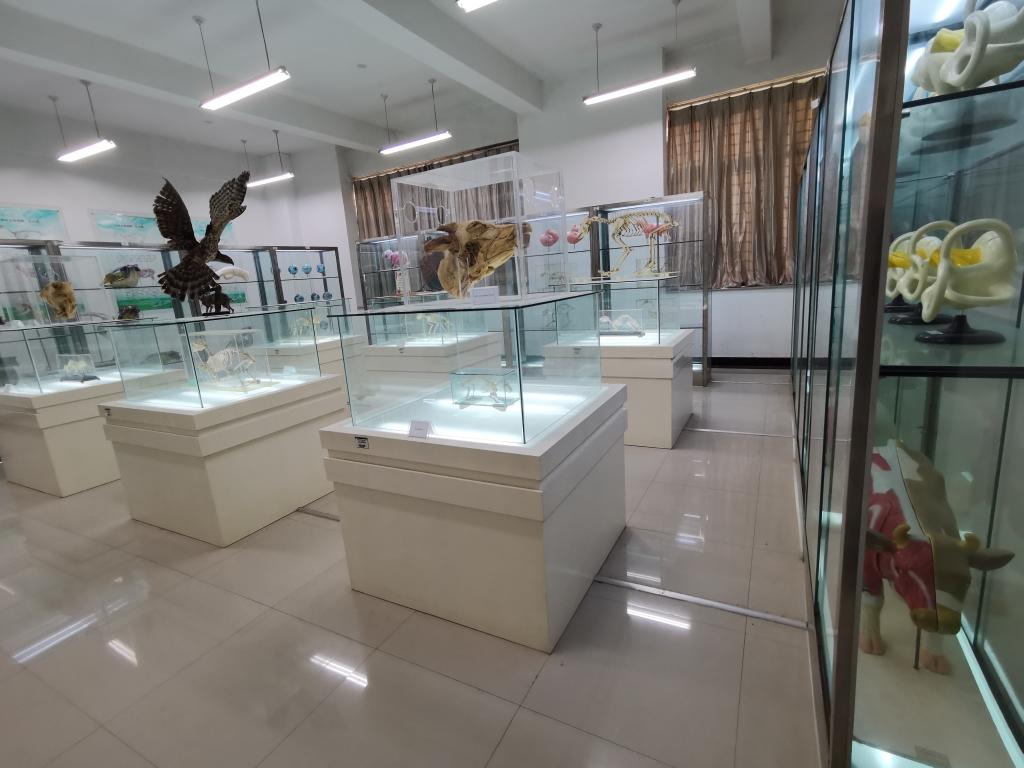 mansion88明升