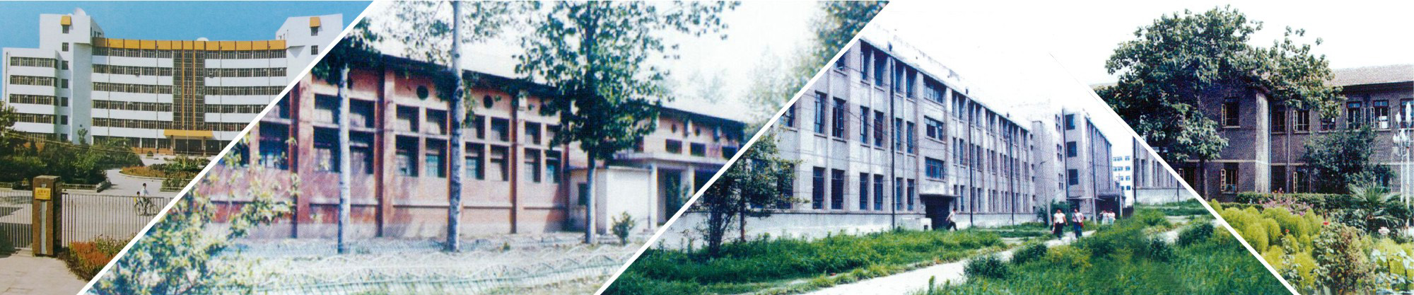mansion88明升